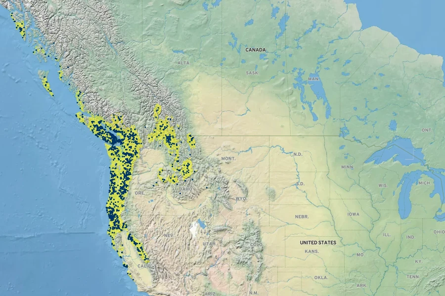 Montia parvifolia Native Range