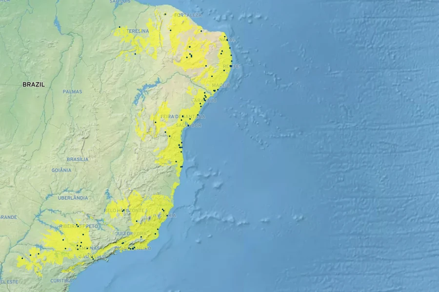 Moquilea tomentosa Native Range