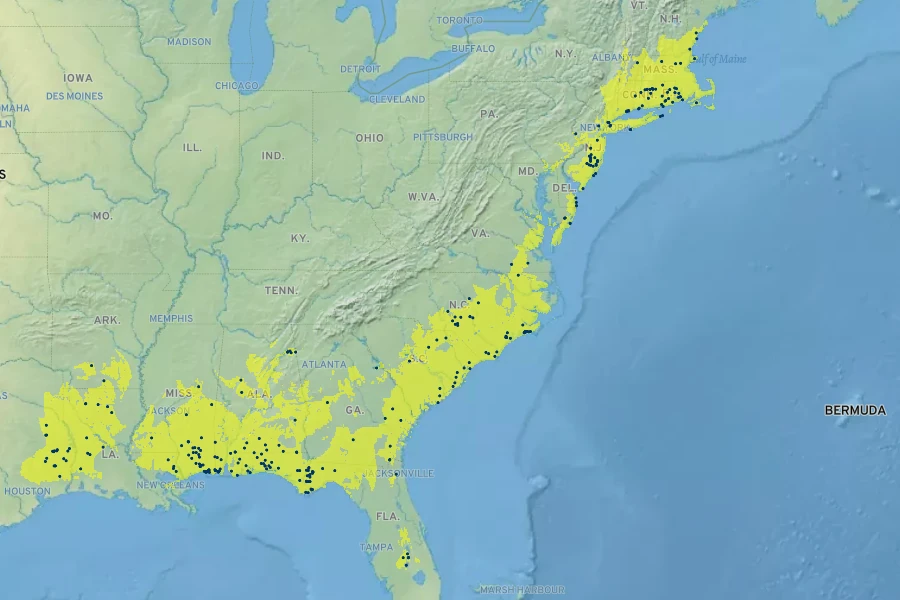 Morella caroliniensis Native Range