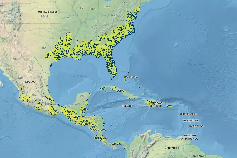 Morella cerifera Native Range