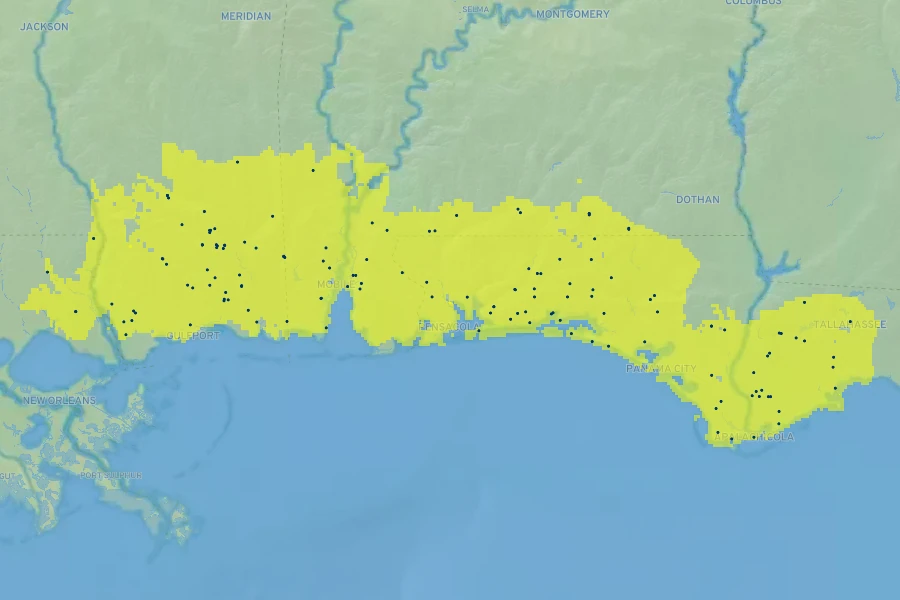 Morella inodora Native Range
