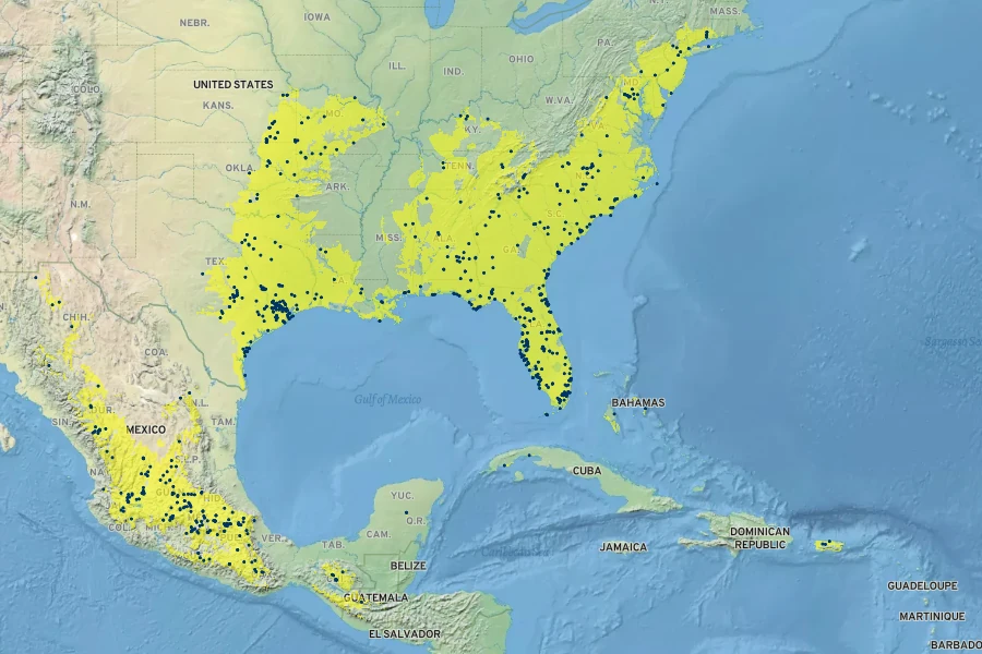 Muhlenbergia capillaris Native Range
