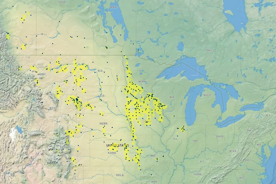 Muhlenbergia cuspidata Native Range