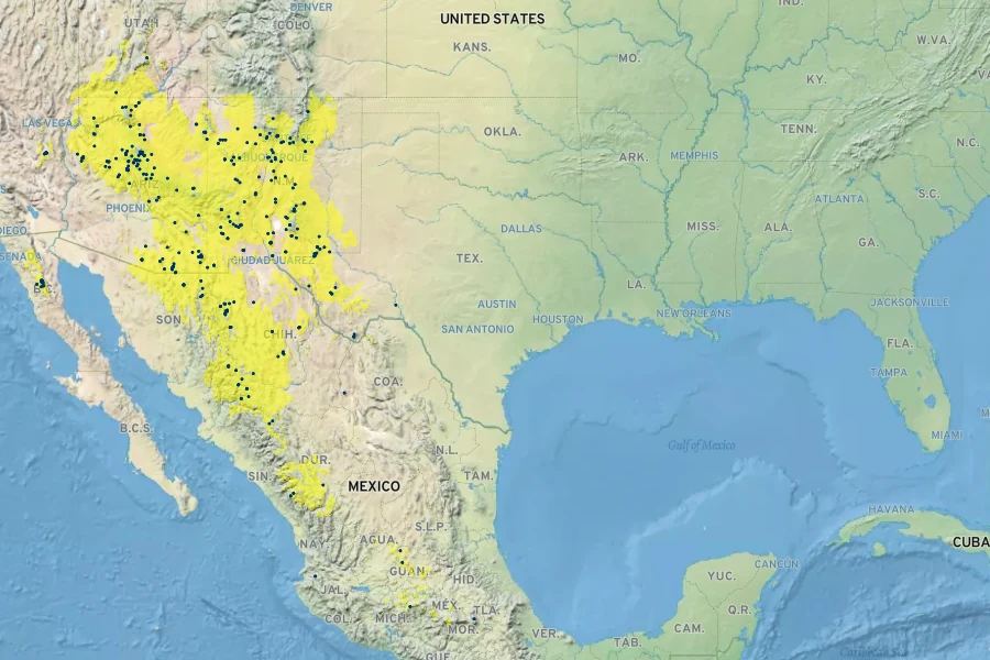 Muhlenbergia pauciflora Native Range