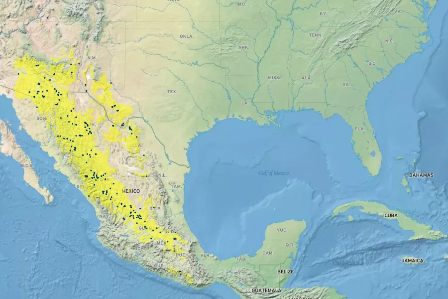 Muhlenbergia polycaulis Native Range