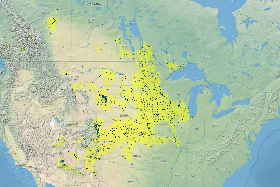 Muhlenbergia racemosa Native Range