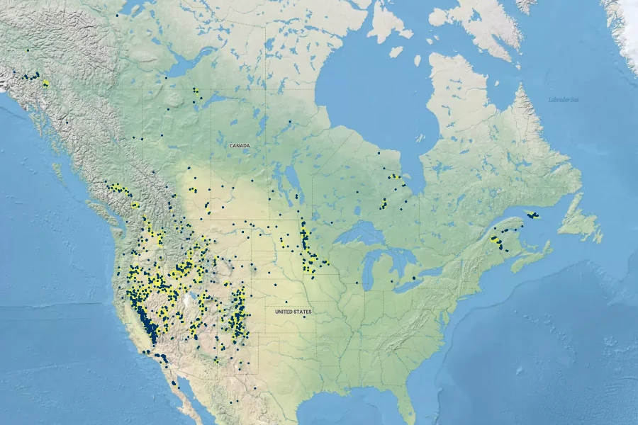 Muhlenbergia richardsonis Native Range