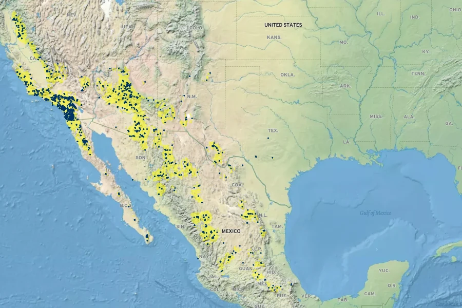 Muhlenbergia rigens Native Range