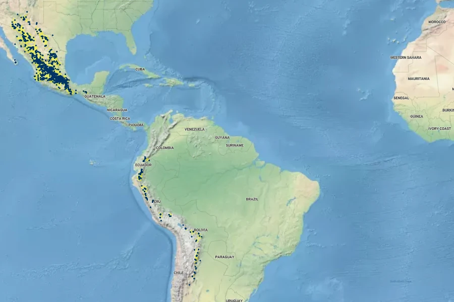 Muhlenbergia rigida Native Range