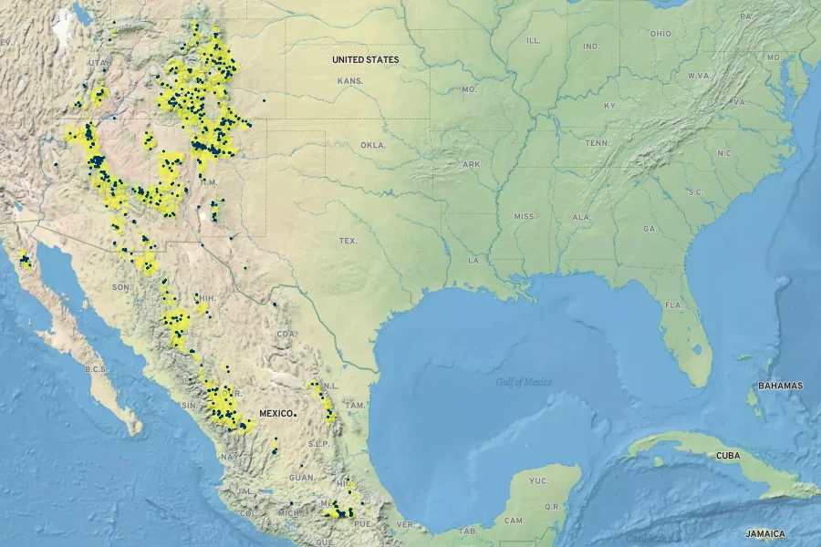 Muhlenbergia tricholepis Native Range