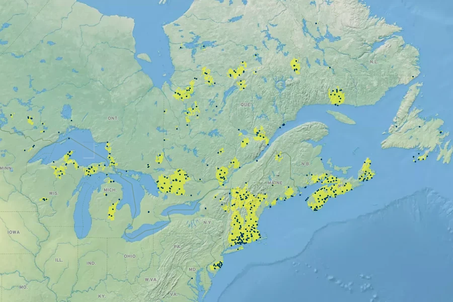 Muhlenbergia uniflora Native Range