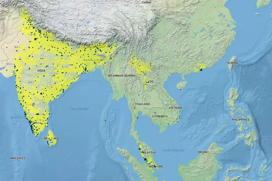 Murraya koenigii Native Range
