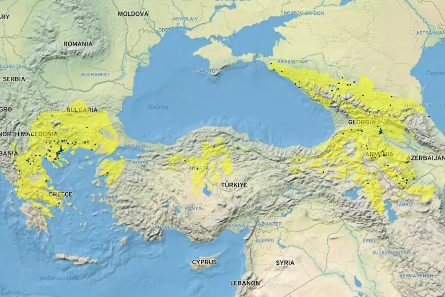 Muscari armeniacum Native Range