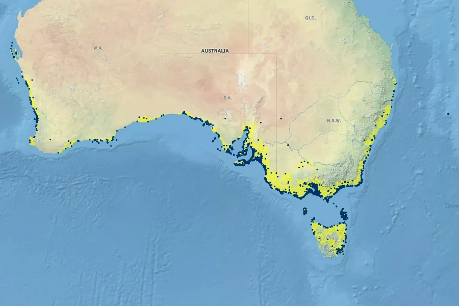 Myoporum insulare Native Range