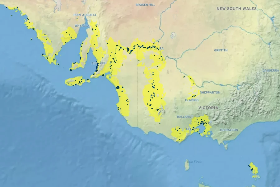 Myoporum parvifolium Native Range