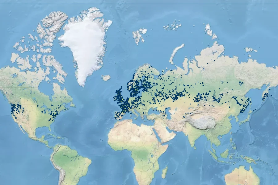 Myosotis laxa subsp. baltica Native Range