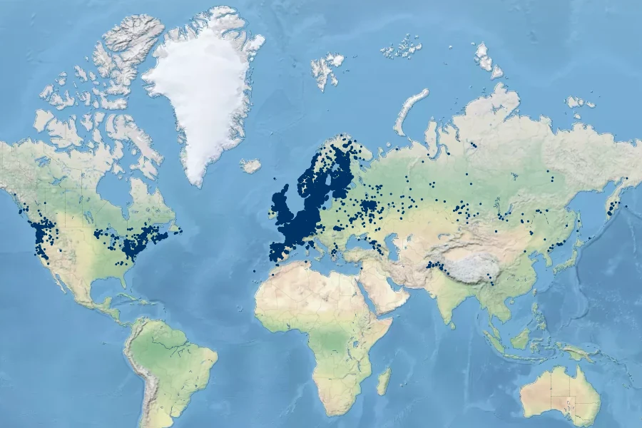 Myosotis laxa Native Range