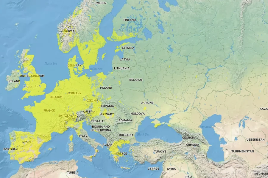 Myosotis ramosissima Native Range