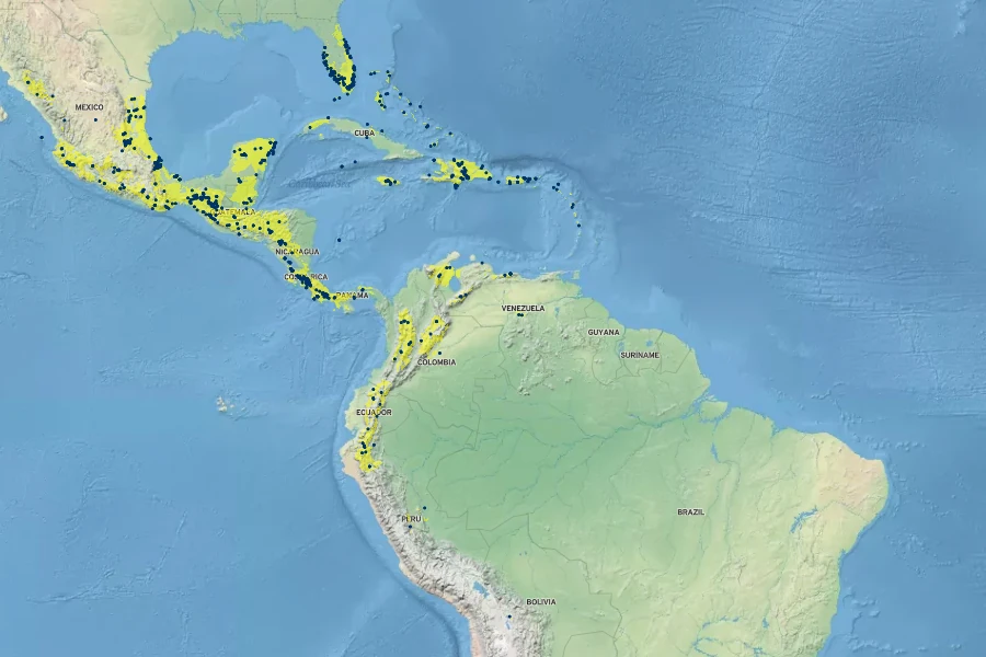 Myrcianthes fragrans Native Range