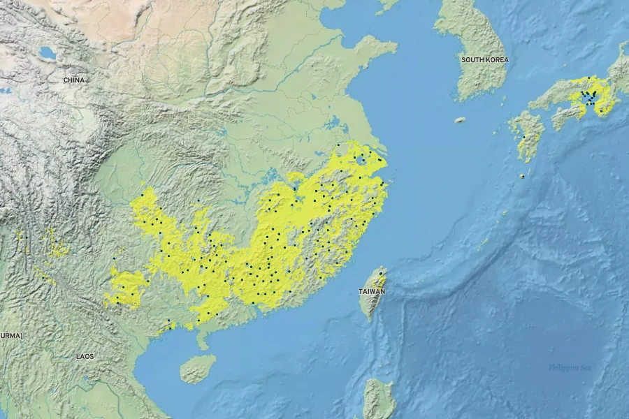 Myrica rubra Native Range