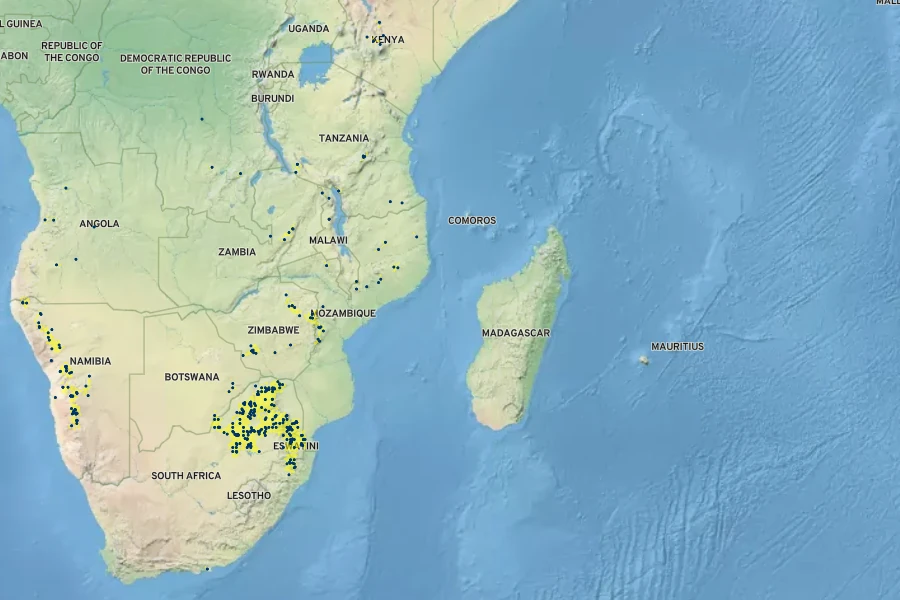 Myrothamnus flabellifolius Native Range
