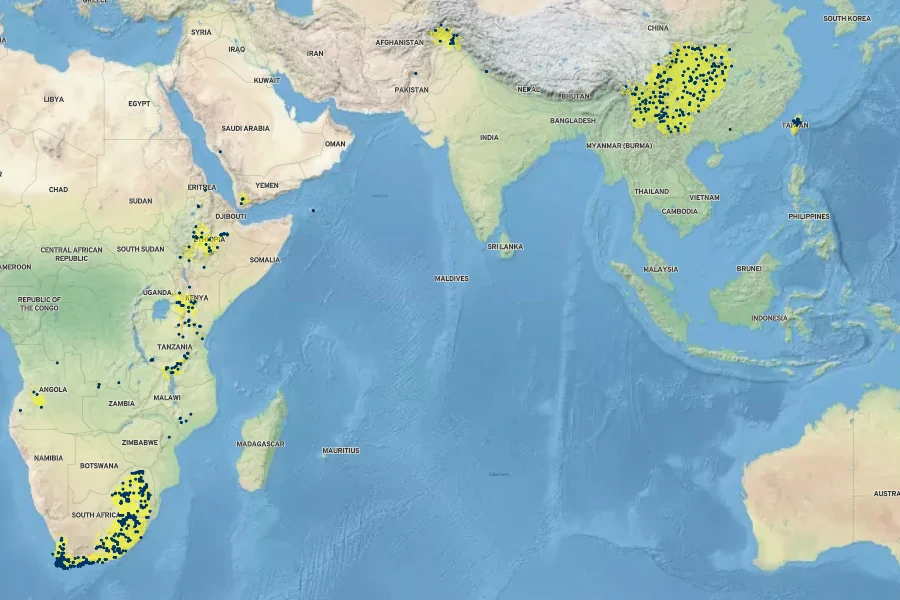 Myrsine africana Native Range