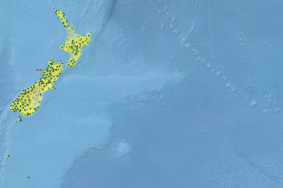Myrsine divaricata Native Range