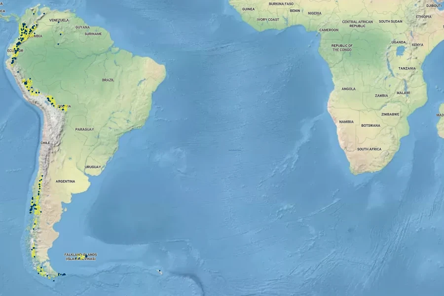 Myrteola nummularia Native Range