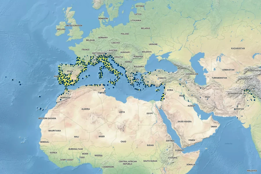 Myrtus communis Native Range