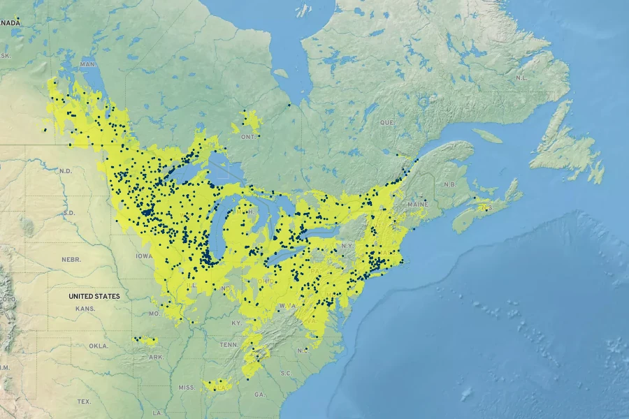 Nabalus albus Native Range