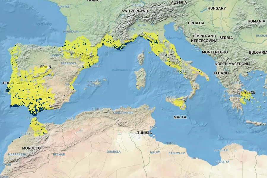 Narcissus papyraceus Native Range