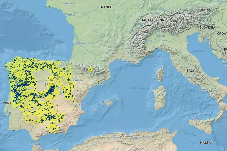 Narcissus triandrus Native Range