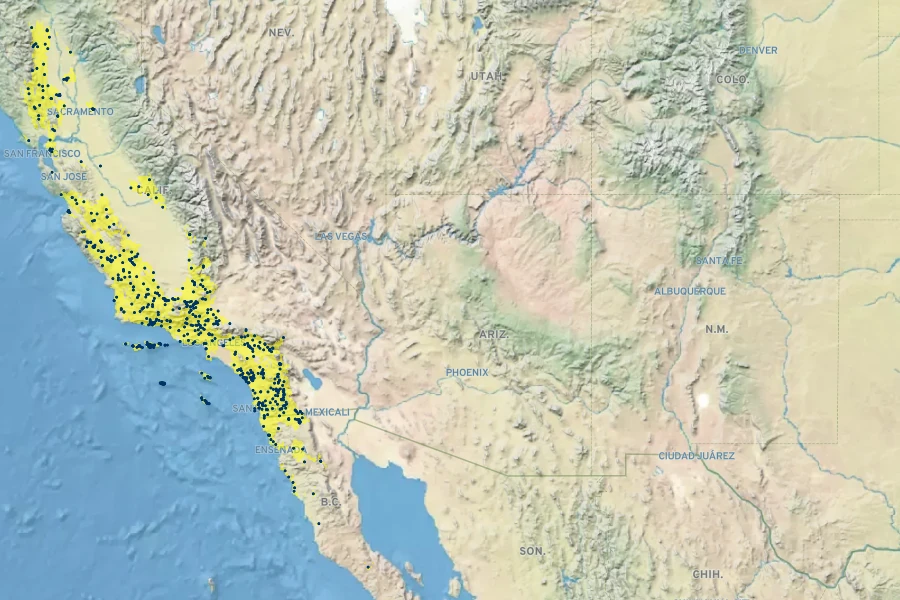 Nassella cernua Native Range