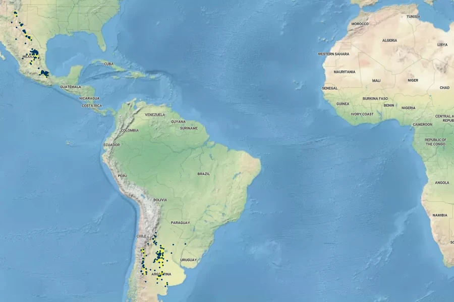 Nassella tenuissima Native Range