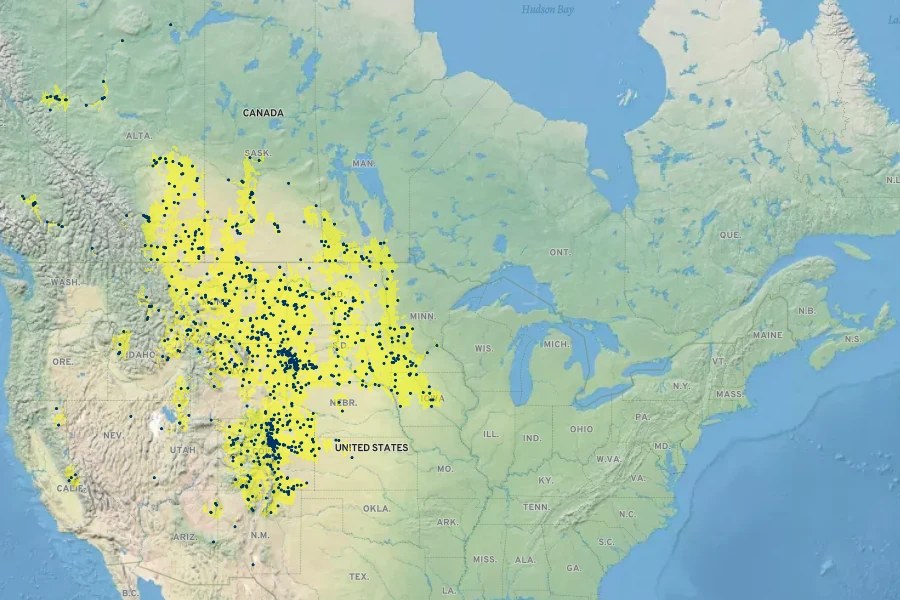 Nassella viridula Native Range