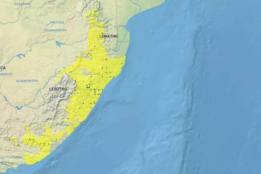 Nemesia denticulata Native Range