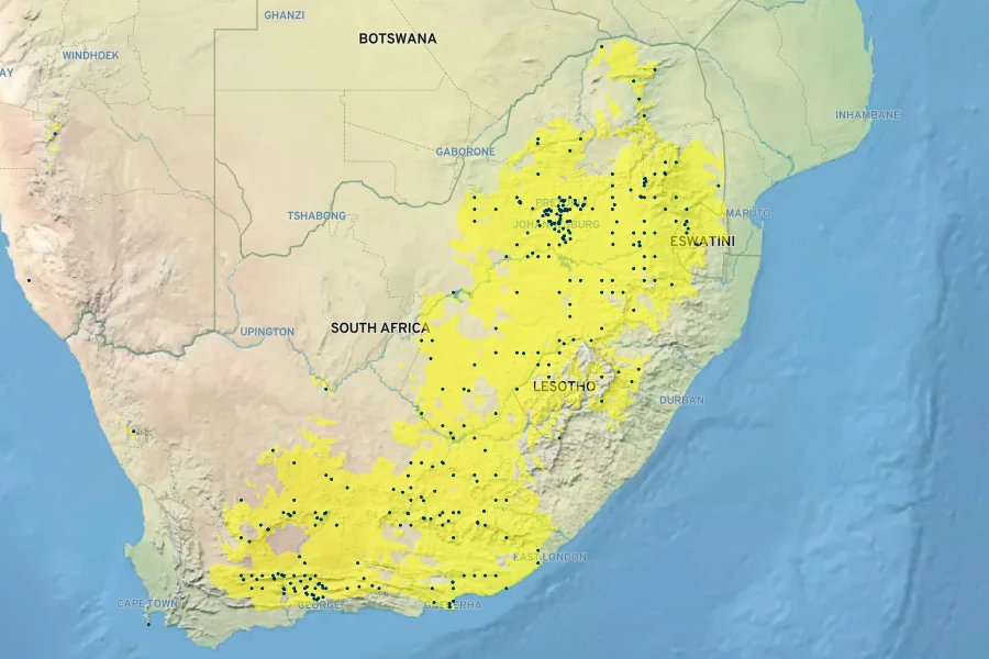 Nemesia fruticans Native Range