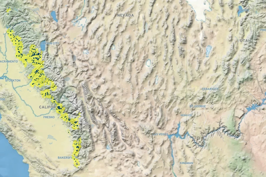 Nemophila maculata Native Range