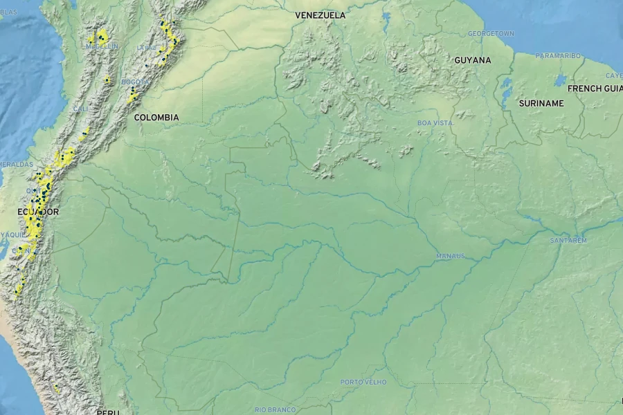 Neobartsia stricta Native Range