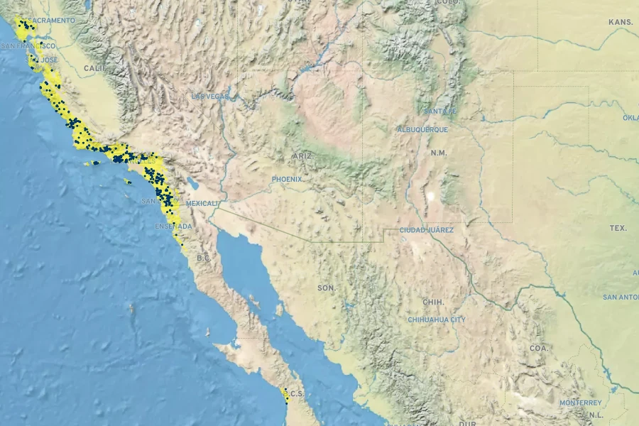 Neogaerrhinum strictum Native Range