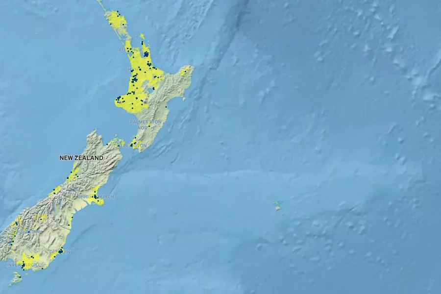 Neopanax laetus Native Range
