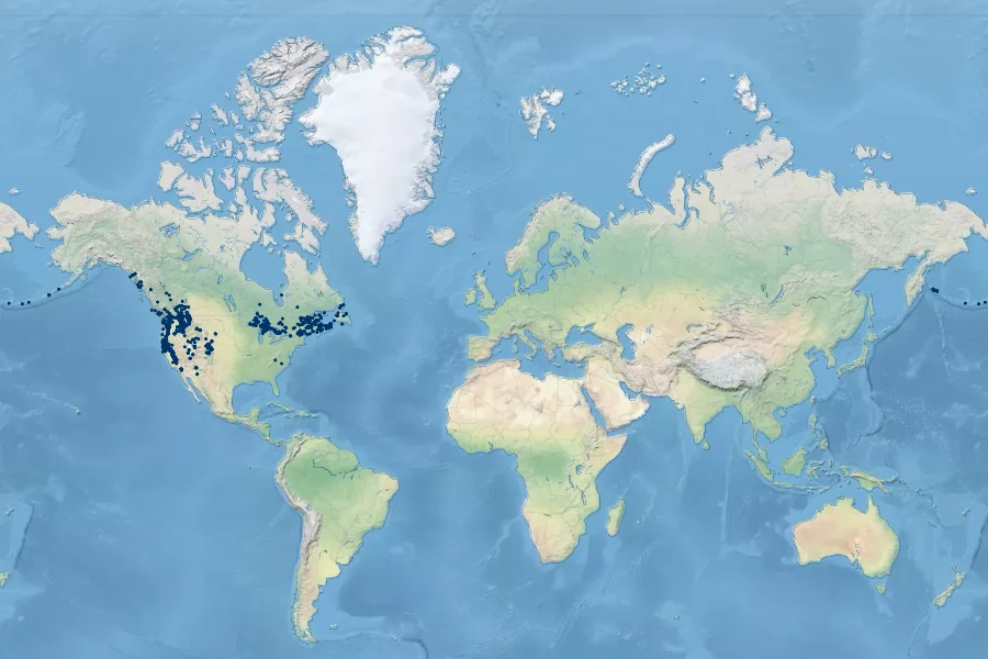 Neottia convallarioides Native Range