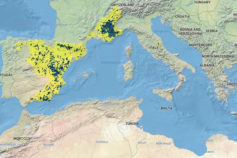 Nepeta nepetella Native Range