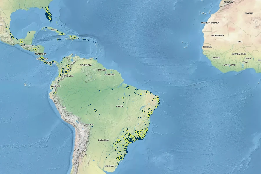 Nephrolepis exaltata Native Range
