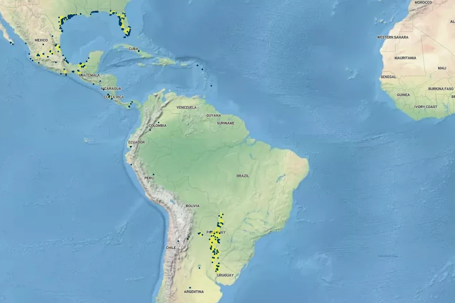 Neptunia pubescens Native Range