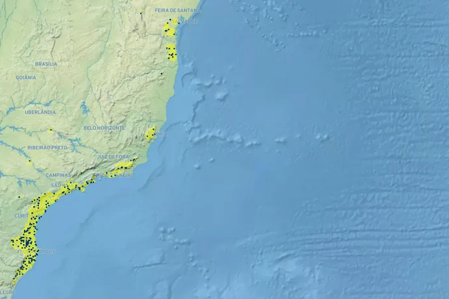 Nidularium innocentii Native Range