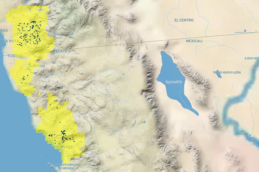 Nolina interrata Native Range
