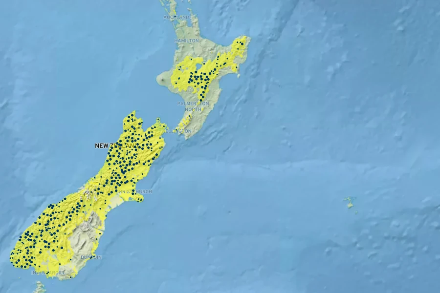 Nothofagus cliffortioides Native Range
