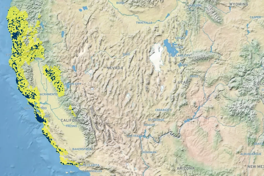 Notholithocarpus densiflorus Native Range
