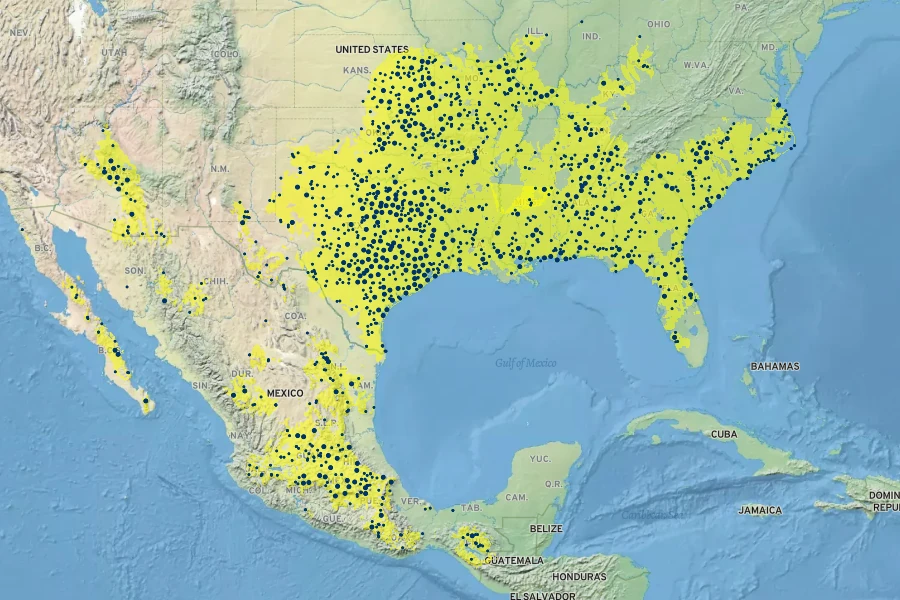 Nothoscordum bivalve Native Range